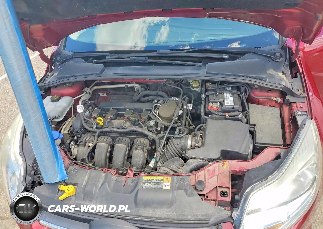 2014 Ford Focus Se VIN:1FADP3F29EL174197 - 11