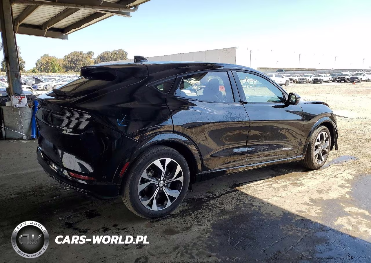 2023 Ford Mustang Mach-E Premium VIN:3FMTK3SUXPMB06239 - 3