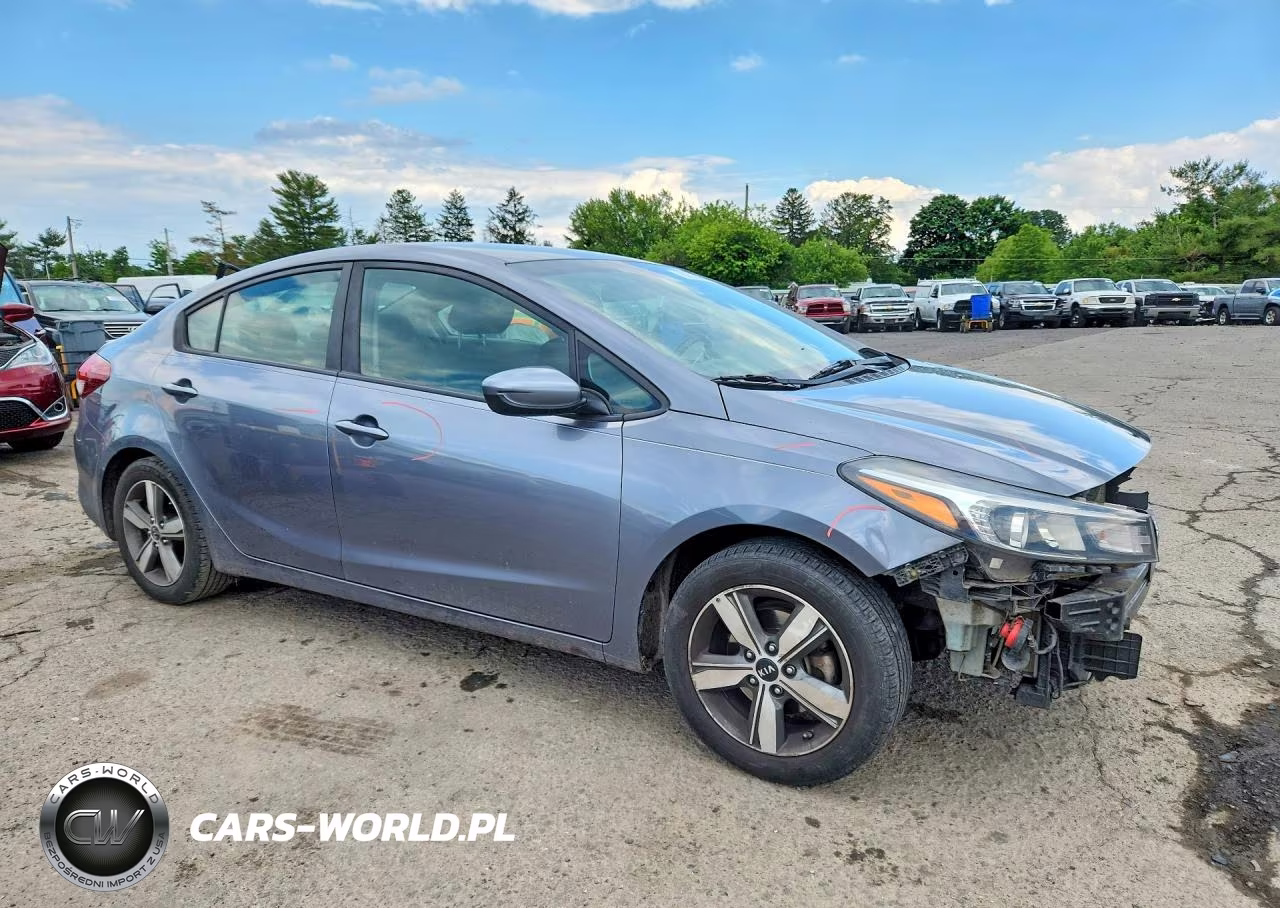 2018 Kia Forte S VIN:3KPFL4A79JE173853 - 4