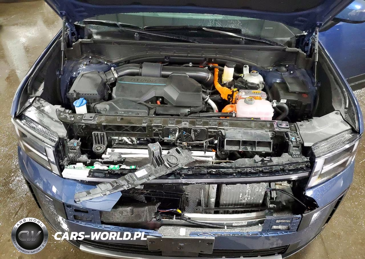2025 Hyundai Santa Fe Sel VIN:5NMP2DG17SH056969 - 12