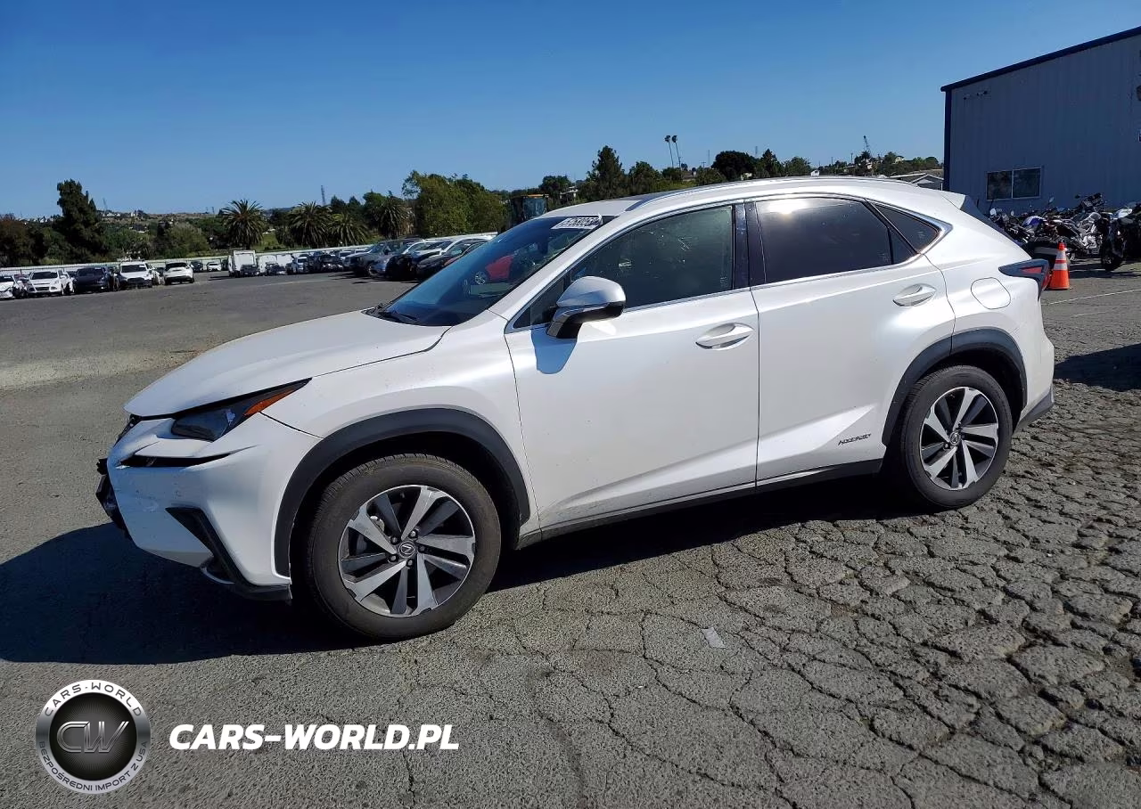 2018 Lexus Nx 300H VIN:JTJBJRBZ4J2095266 - 1