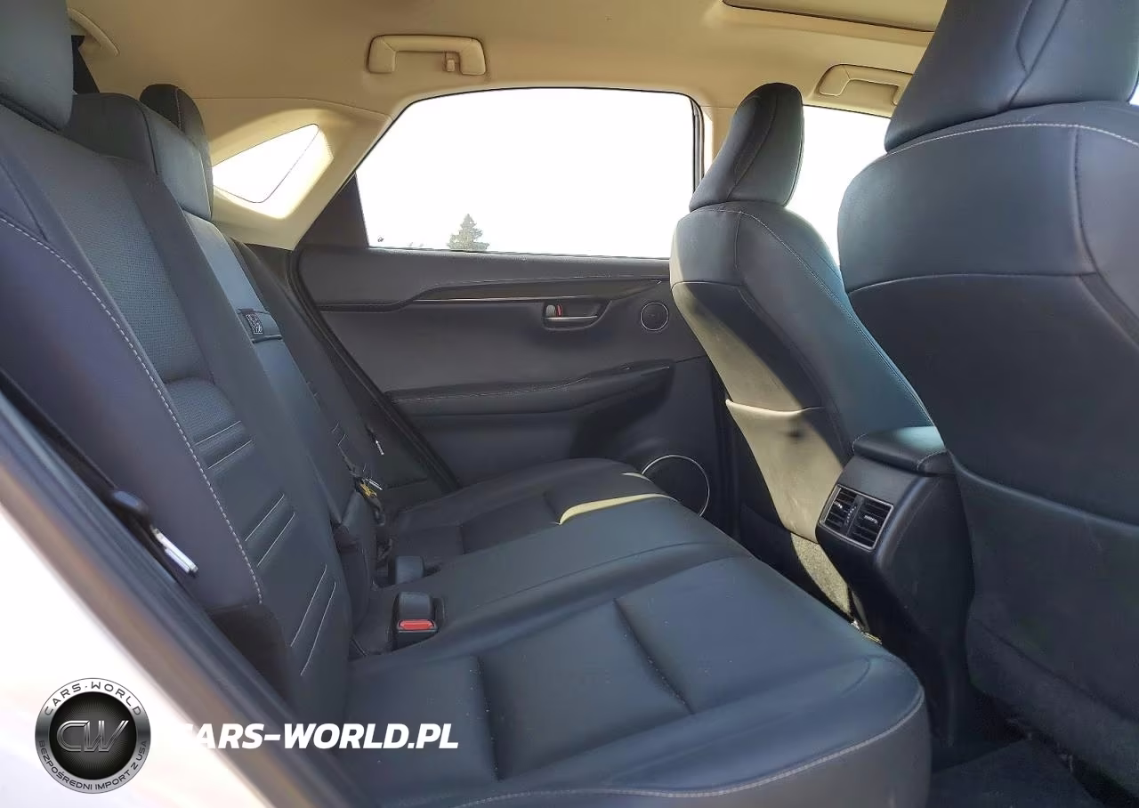 2018 Lexus Nx 300H VIN:JTJBJRBZ4J2095266 - 11