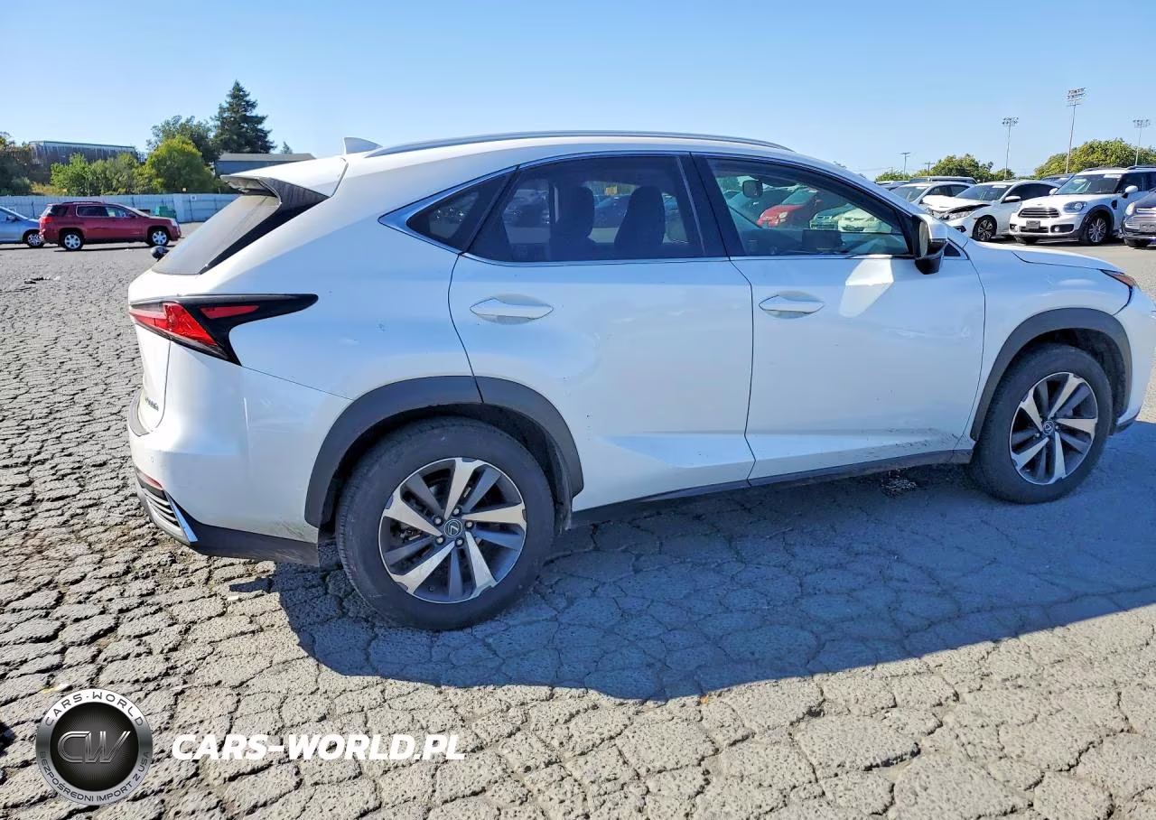 2018 Lexus Nx 300H VIN:JTJBJRBZ4J2095266 - 3