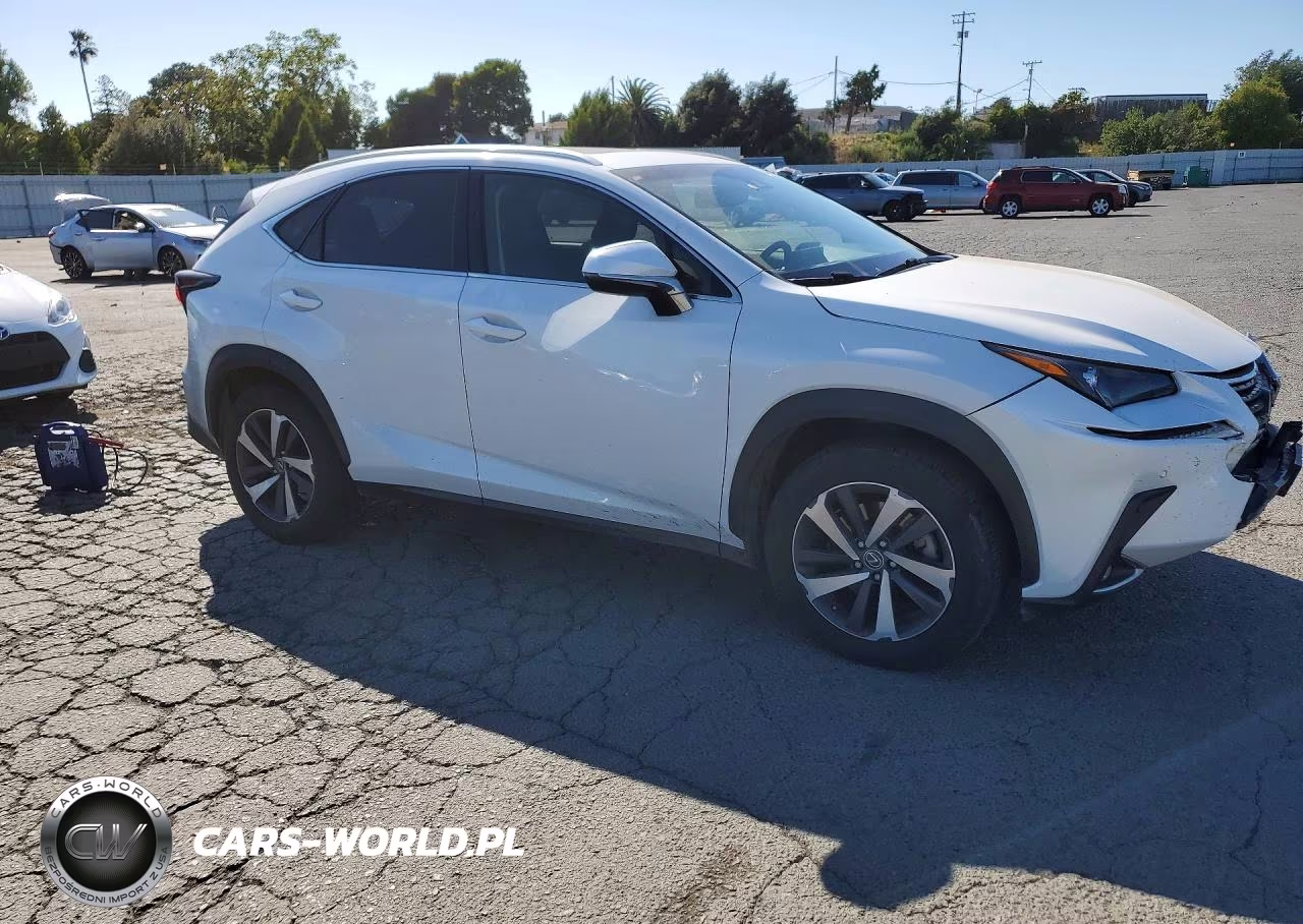 2018 Lexus Nx 300H VIN:JTJBJRBZ4J2095266 - 4