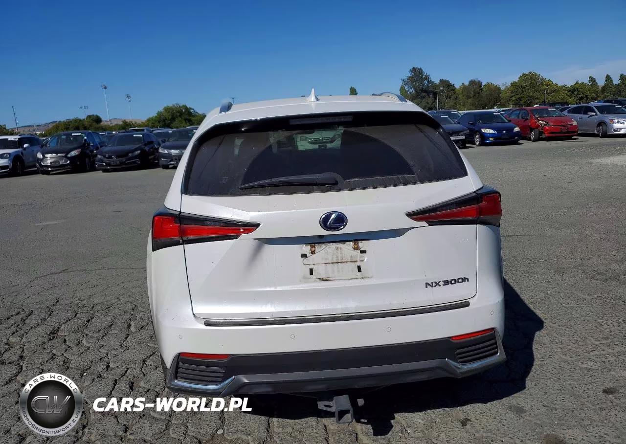 2018 Lexus Nx 300H VIN:JTJBJRBZ4J2095266 - 6