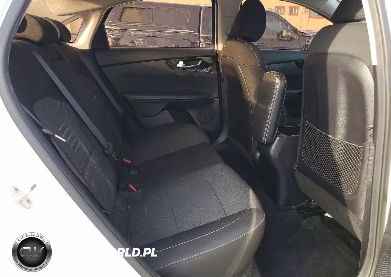 2019 Kia Forte S VIN:3KPF34AD5KE026548 - 10