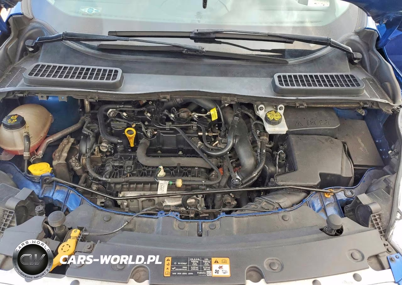 2019 Ford Escape Se VIN:1FMCU0GD1KUA50357 - 11