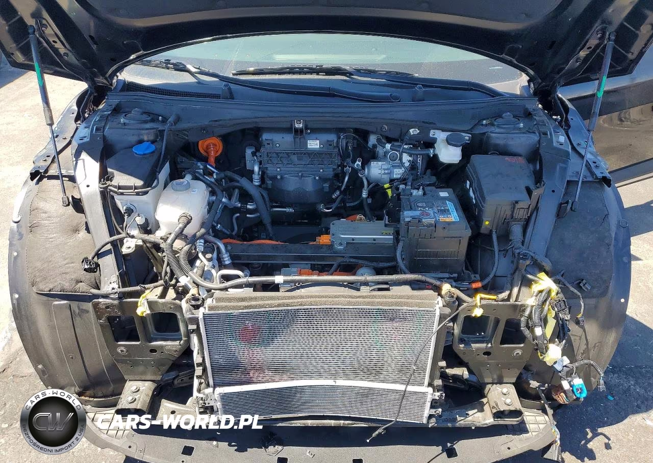 2025 Kia Ev6 Light Long Range VIN:5XYC34JA6SG009558 - 11