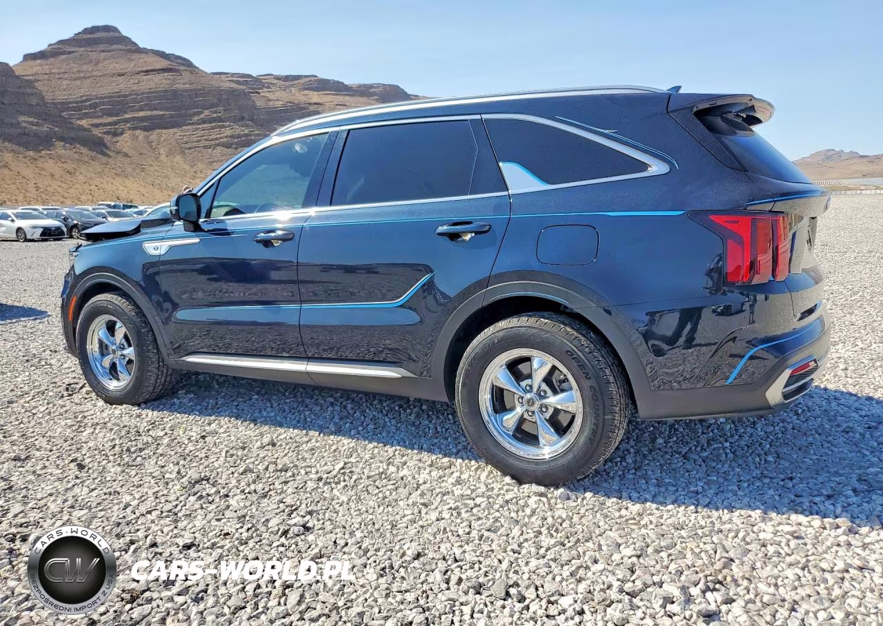2021 Kia Sorento VIN:KNDRH4LG2M5022316 - 2