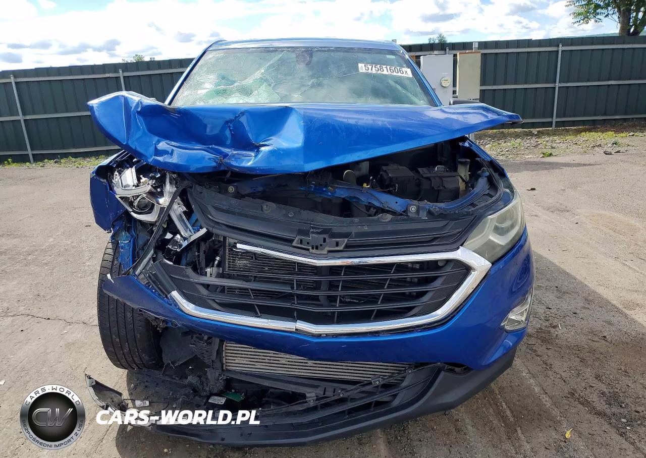 2019 Chevrolet Equinox Ls VIN:3GNAXSEV4KS630798 - 5