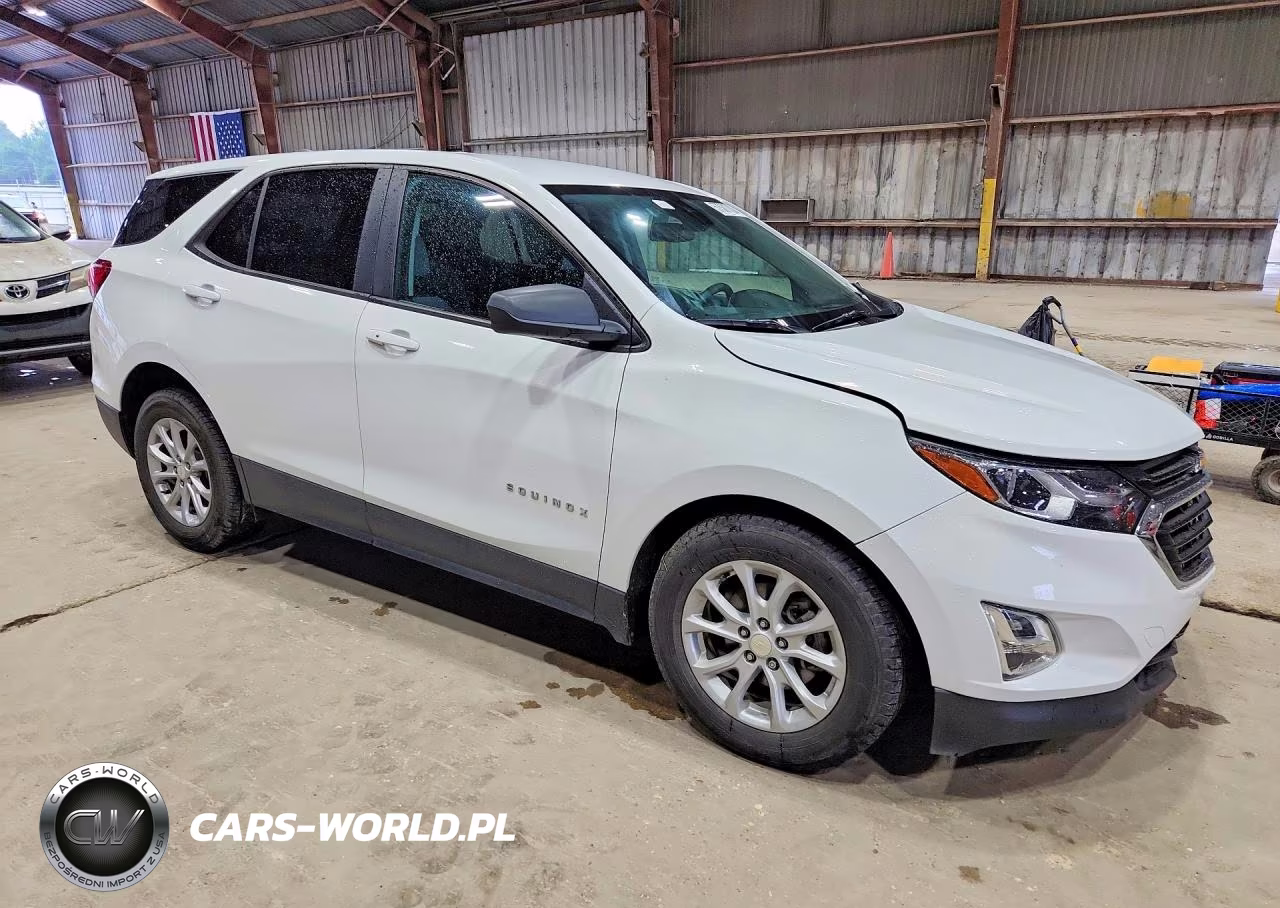 2020 Chevrolet Equinox Ls VIN:3GNAXHEV9LS690225 - 4