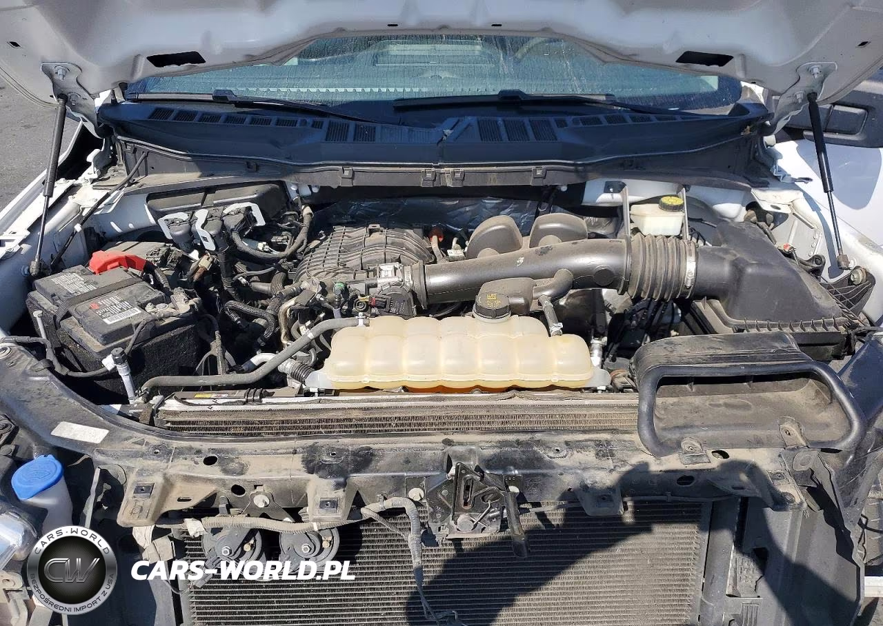 2021 Ford F150 VIN:1FTMF1CB1MKD47205 - 11