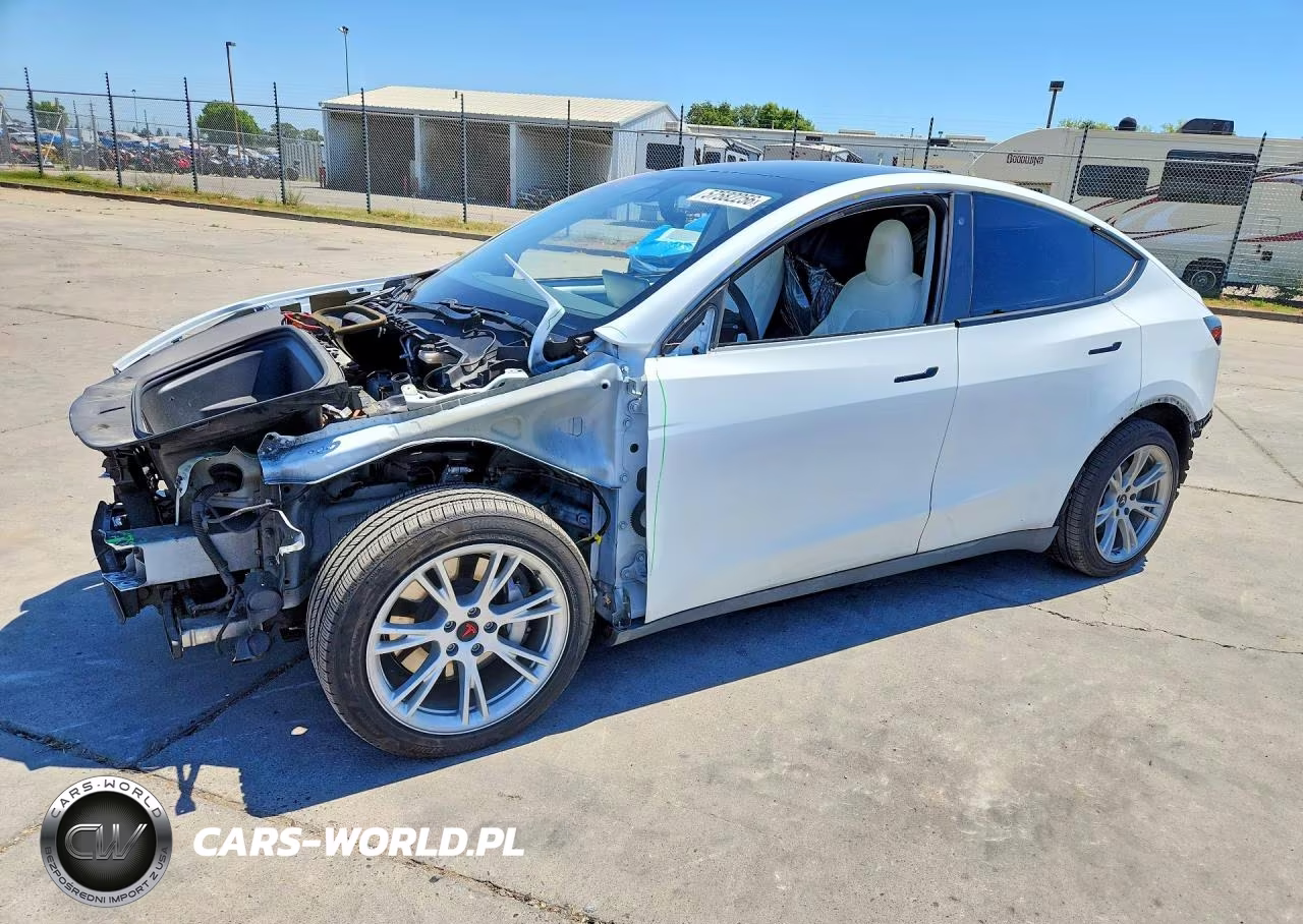 2020 Tesla Model Y