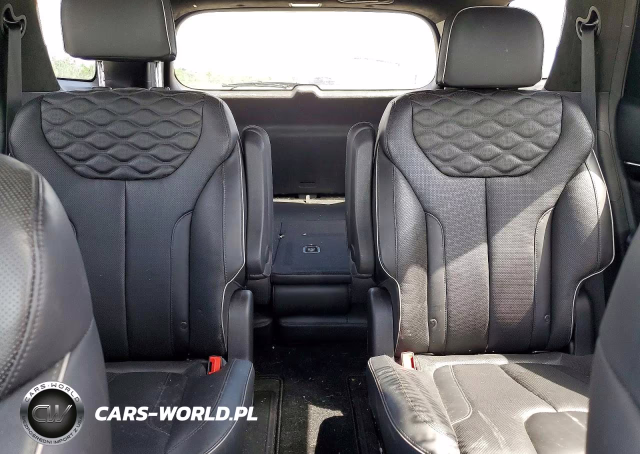 2020 Hyundai Palisade Limited VIN:KM8R5DHE7LU071737 - 10