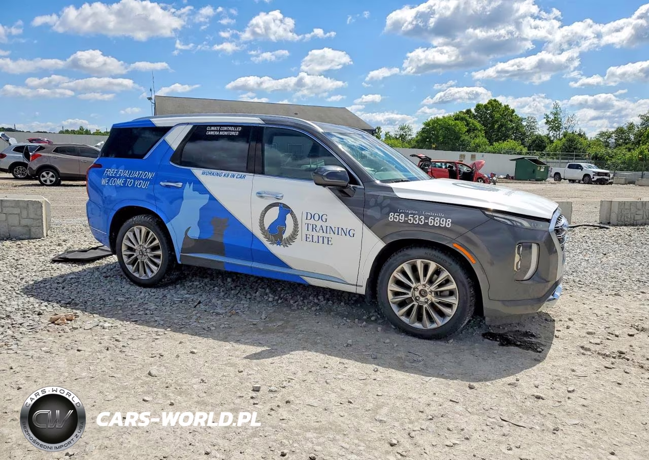 2020 Hyundai Palisade Limited VIN:KM8R5DHE7LU071737 - 4