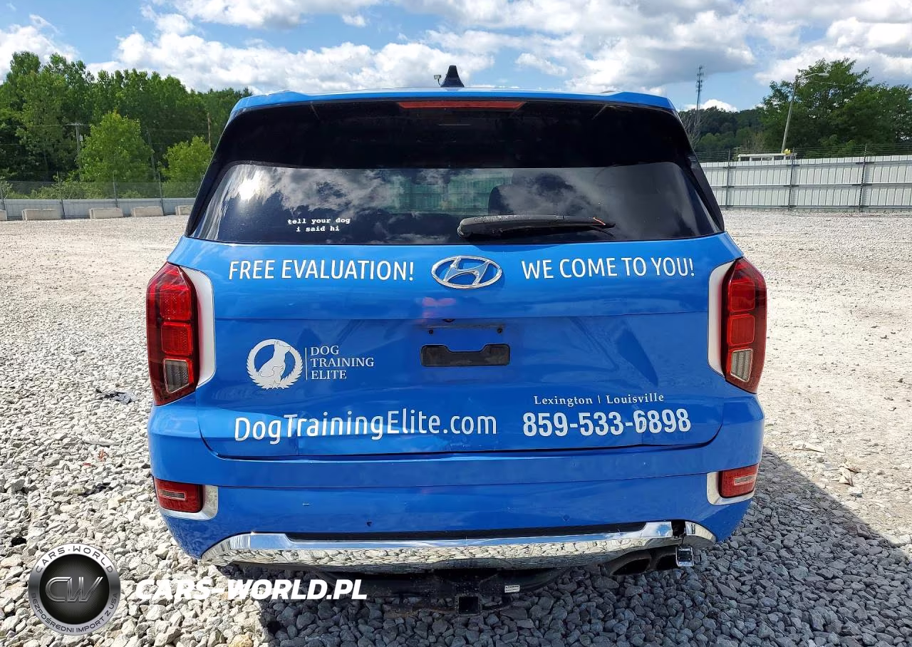 2020 Hyundai Palisade Limited VIN:KM8R5DHE7LU071737 - 6