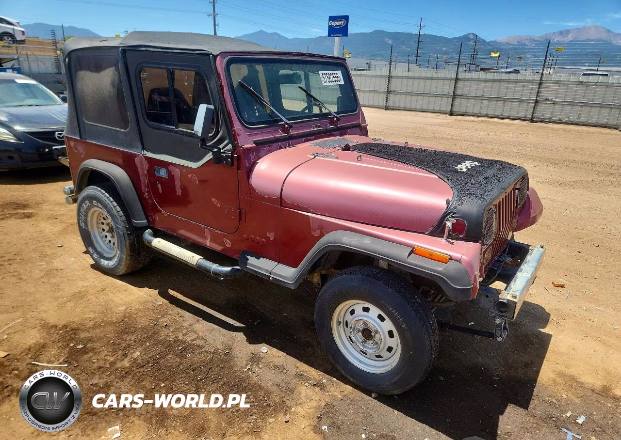 1994 Jeep Wrangler - Yj S VIN:1J4FY19P9RP422033 - 4