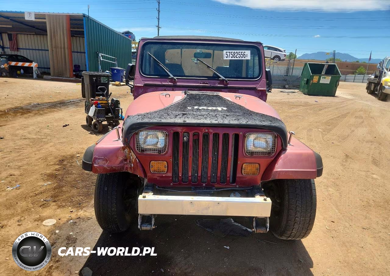 1994 Jeep Wrangler - Yj S VIN:1J4FY19P9RP422033 - 5