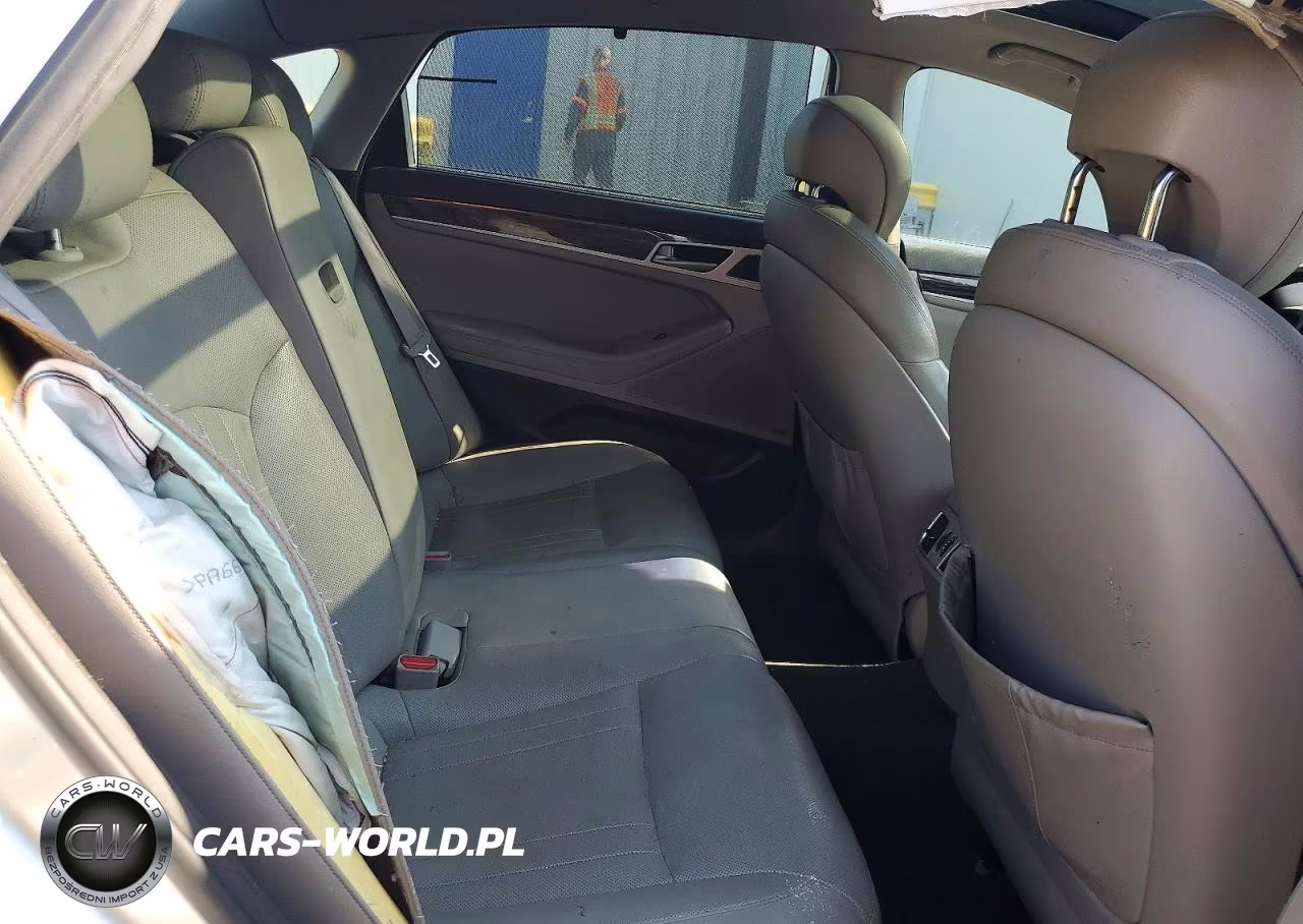 2015 Hyundai Genesis 3.8L VIN:KMHGN4JE5FU016290 - 10