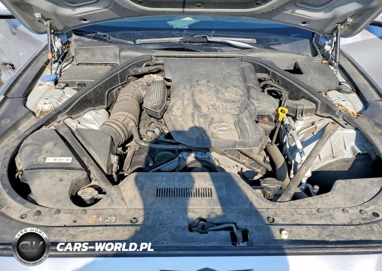 2015 Hyundai Genesis 3.8L VIN:KMHGN4JE5FU016290 - 11