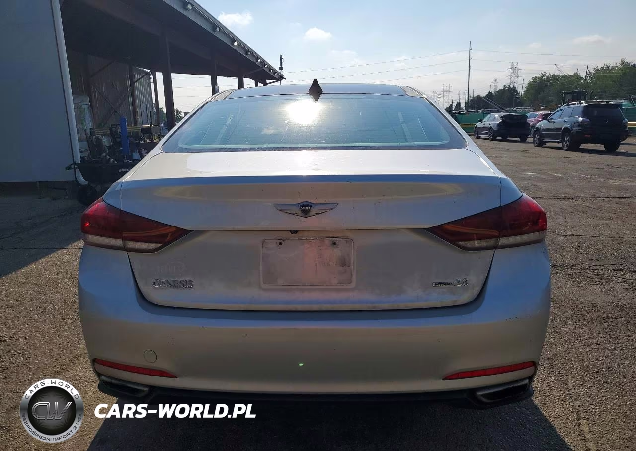 2015 Hyundai Genesis 3.8L VIN:KMHGN4JE5FU016290 - 6