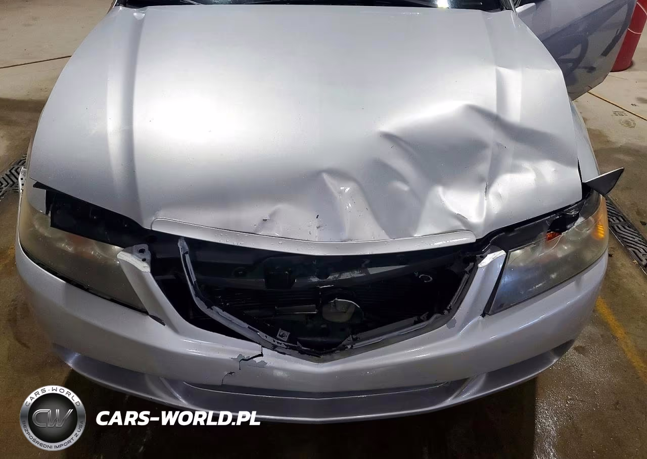 2004 Acura Tsx VIN:JH4CL968X4C027991 - 11
