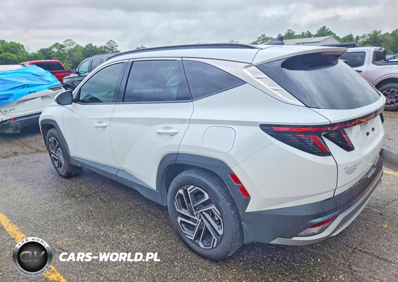 2025 Hyundai Tucson Limited VIN:KM8JEDD18SU351147 - 2