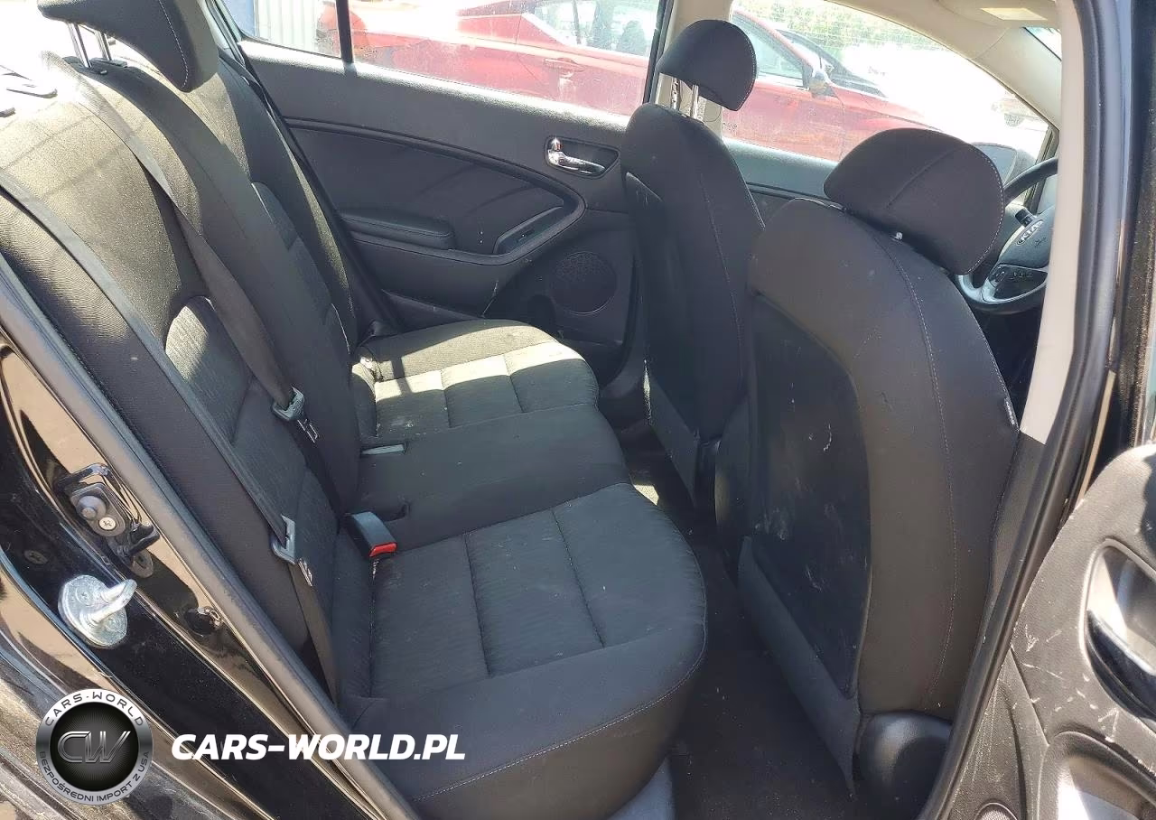 2014 Kia Forte Lx VIN:KNAFK4A66E5156792 - 10