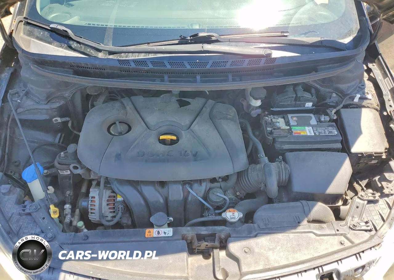 2014 Kia Forte Lx VIN:KNAFK4A66E5156792 - 11
