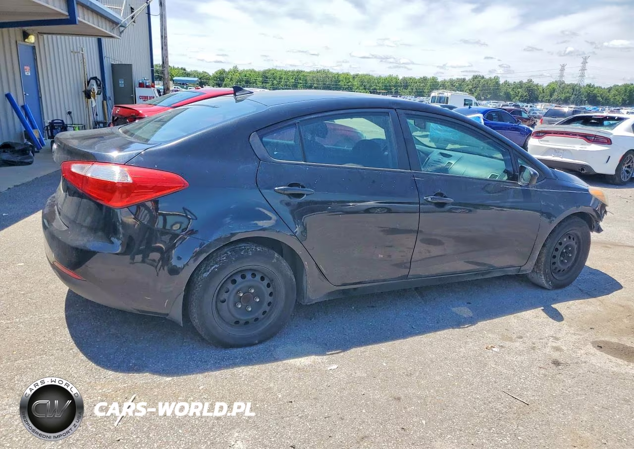 2014 Kia Forte Lx VIN:KNAFK4A66E5156792 - 3