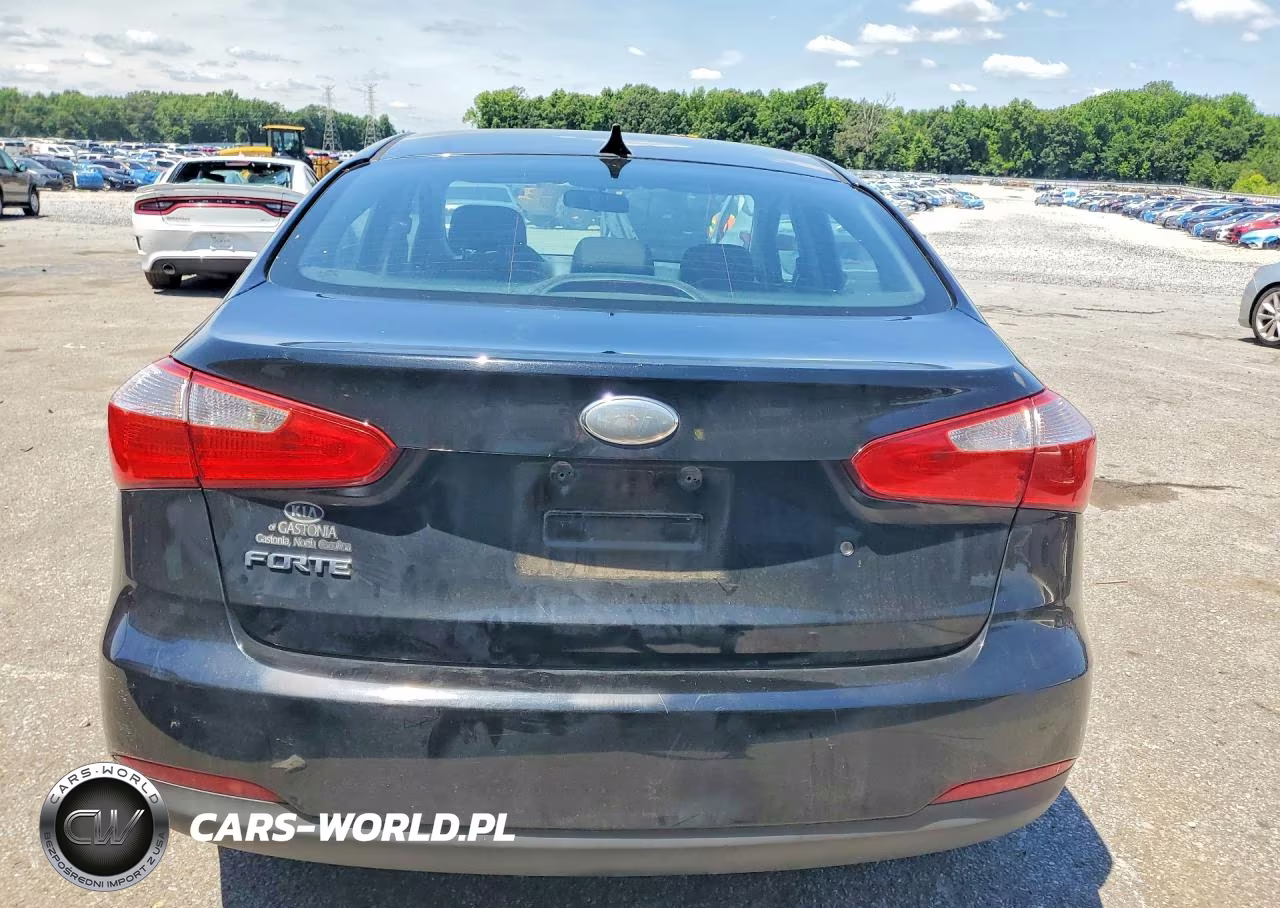 2014 Kia Forte Lx VIN:KNAFK4A66E5156792 - 6