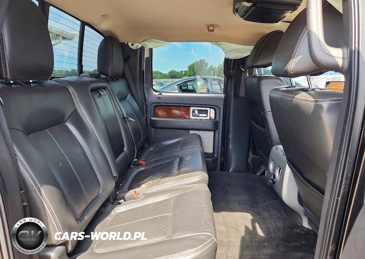 2010 Ford F150 Supercrew VIN:1FTFW1EV5AFD51391 - 10