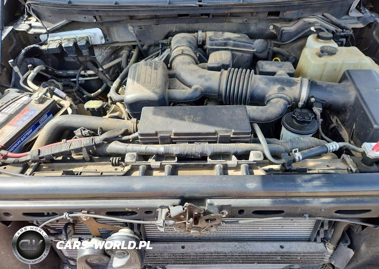 2010 Ford F150 Supercrew VIN:1FTFW1EV5AFD51391 - 11