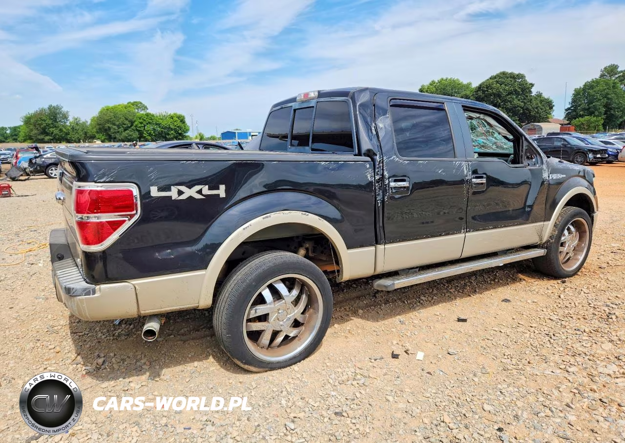2010 Ford F150 Supercrew VIN:1FTFW1EV5AFD51391 - 3