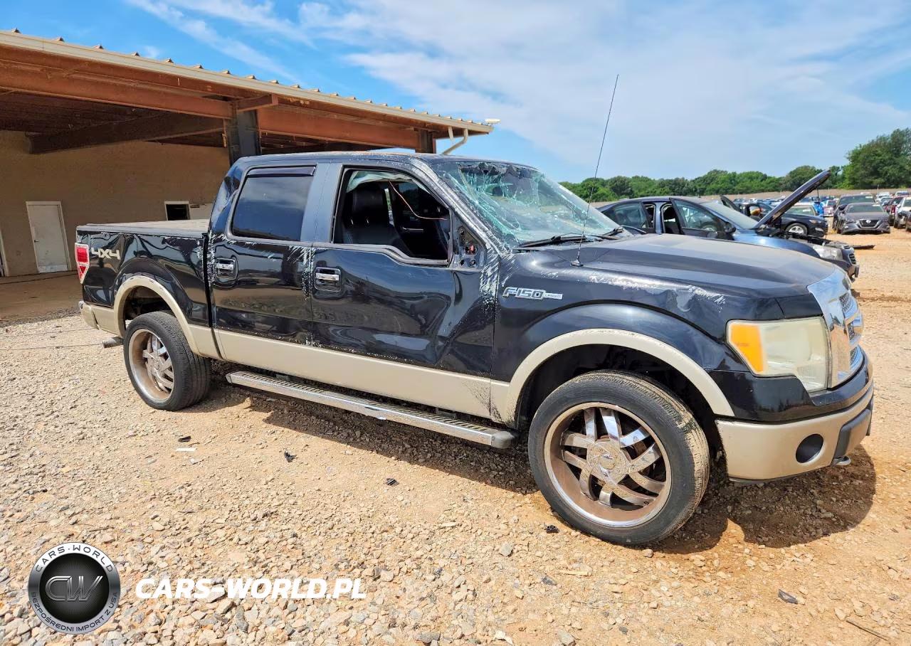 2010 Ford F150 Supercrew VIN:1FTFW1EV5AFD51391 - 4