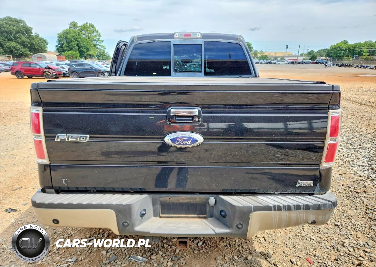2010 Ford F150 Supercrew VIN:1FTFW1EV5AFD51391 - 6