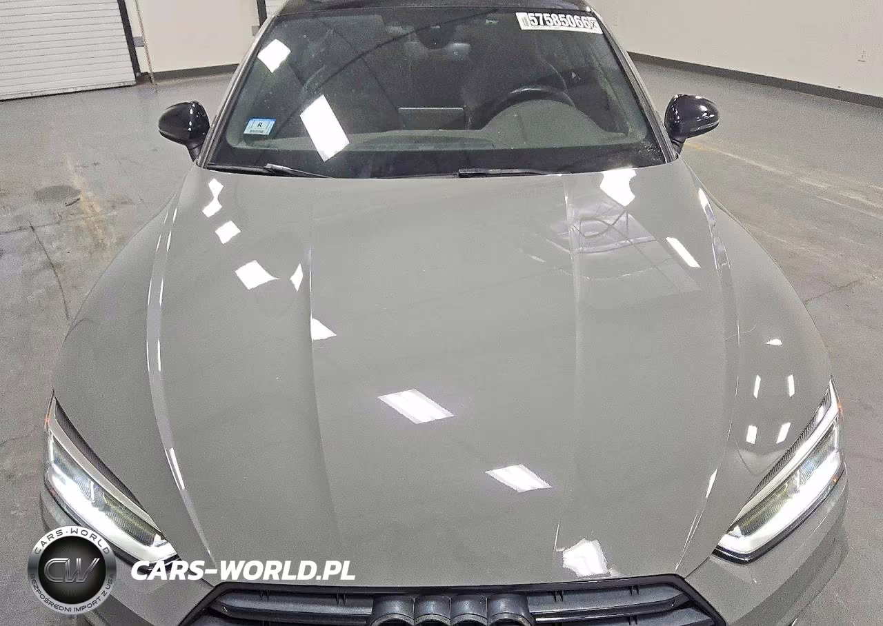 2019 Audi S5 Premium Plus VIN:WAUP4AF51KA009425 - 11