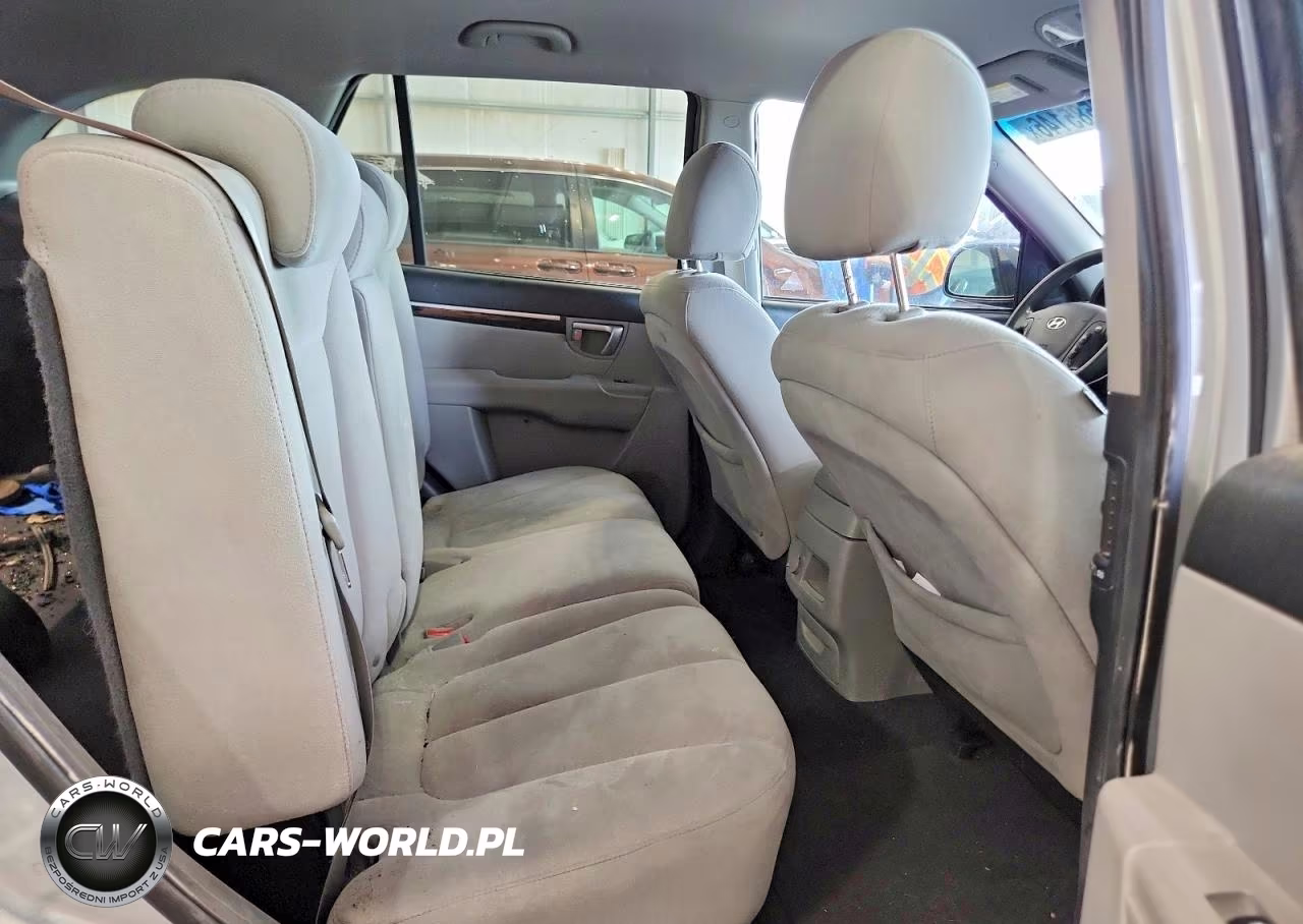 2009 Hyundai Santa Fe Gls VIN:5NMSG13D69H311485 - 11