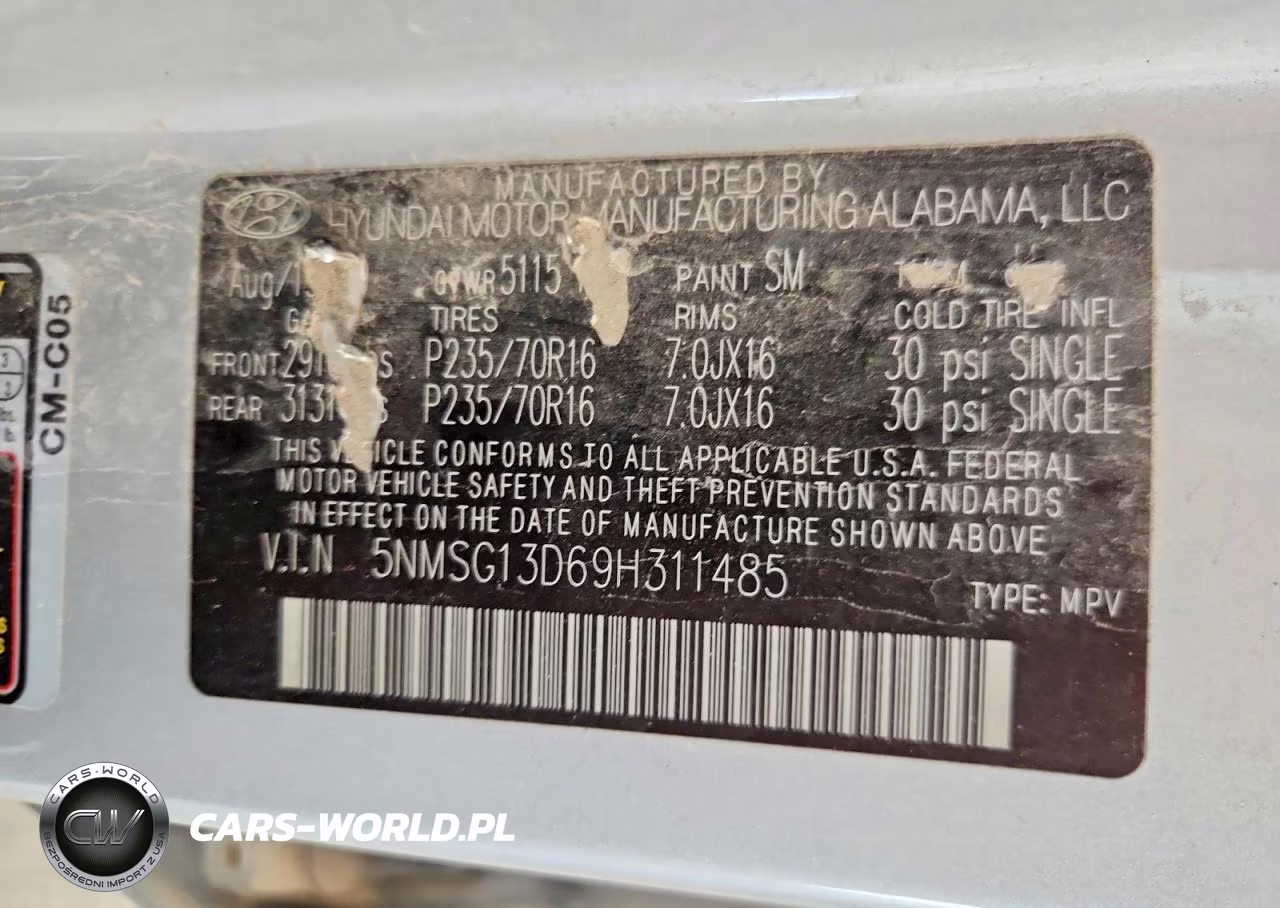 2009 Hyundai Santa Fe Gls VIN:5NMSG13D69H311485 - 13