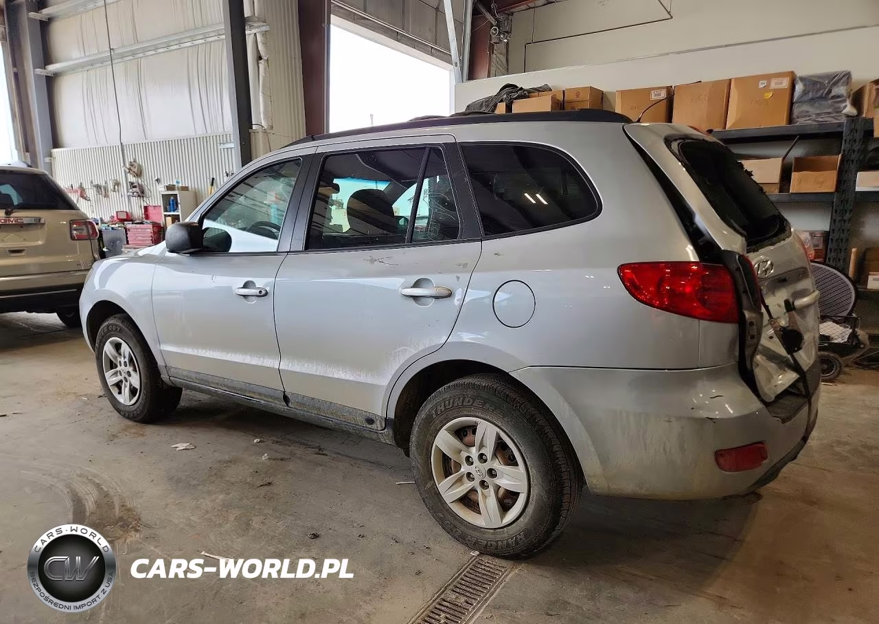 2009 Hyundai Santa Fe Gls VIN:5NMSG13D69H311485 - 2