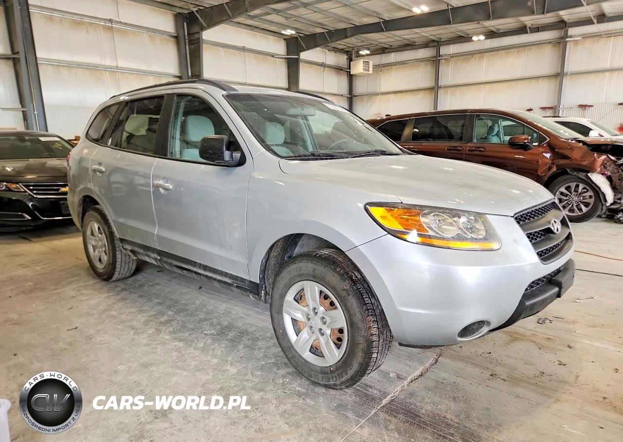 2009 Hyundai Santa Fe Gls VIN:5NMSG13D69H311485 - 4