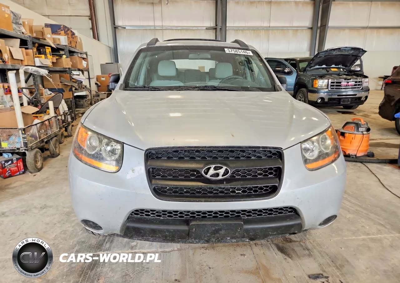 2009 Hyundai Santa Fe Gls VIN:5NMSG13D69H311485 - 5
