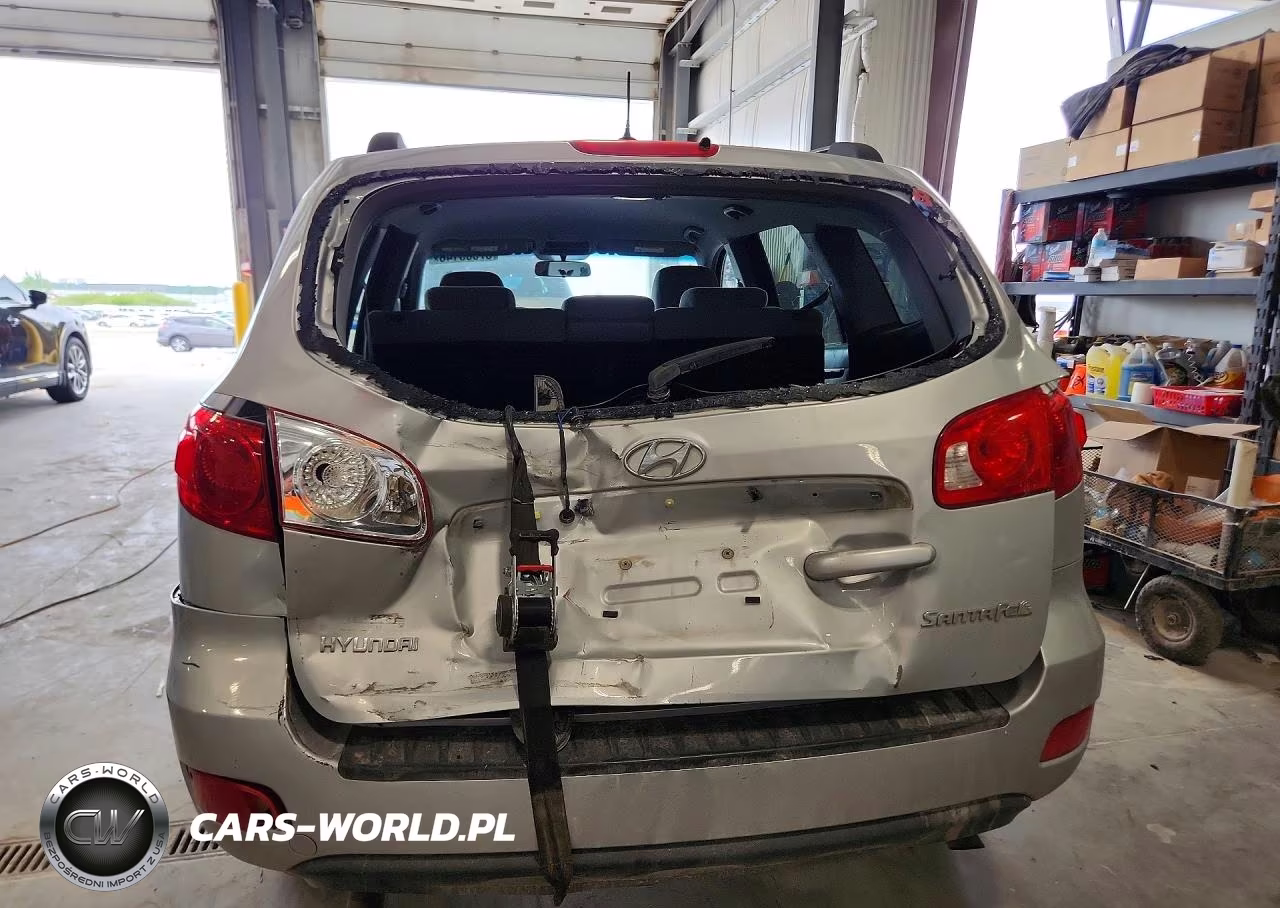 2009 Hyundai Santa Fe Gls VIN:5NMSG13D69H311485 - 6