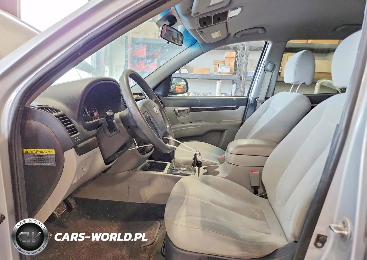 2009 Hyundai Santa Fe Gls VIN:5NMSG13D69H311485 - 7