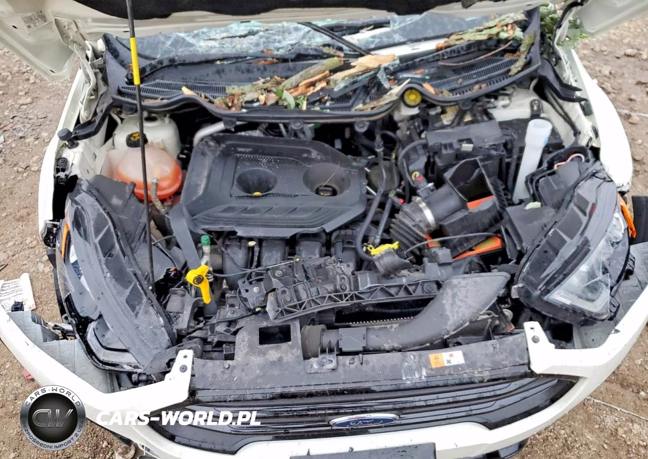 2021 Ford Ecosport Ses VIN:MAJ6S3JL9MC451002 - 12
