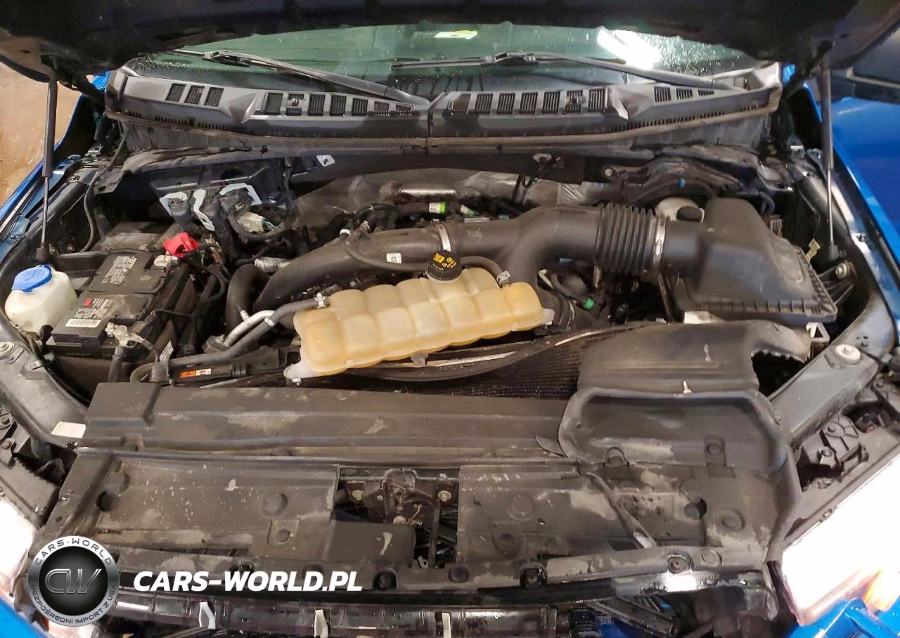 2019 Ford F150 Supercrew VIN:1FTEW1EP6KKD95616 - 11
