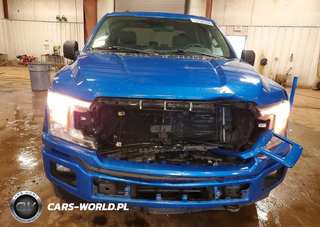 2019 Ford F150 Supercrew VIN:1FTEW1EP6KKD95616 - 5