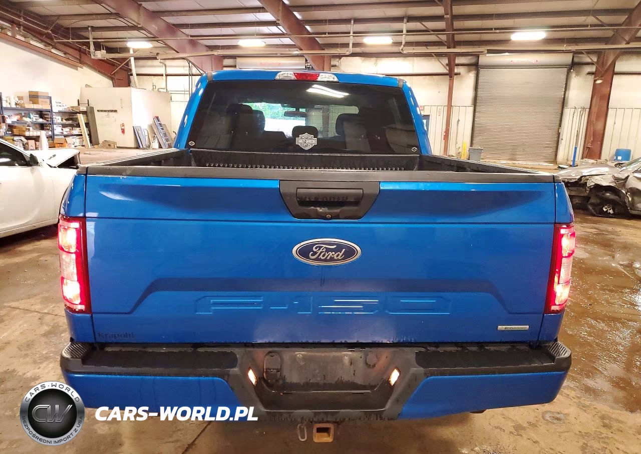2019 Ford F150 Supercrew VIN:1FTEW1EP6KKD95616 - 6