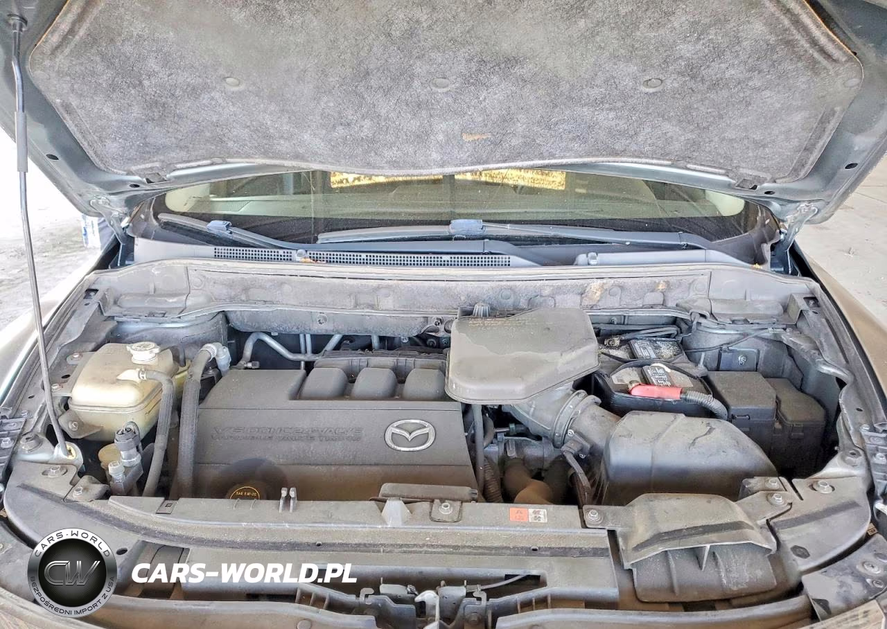 2010 Mazda Cx-9 VIN:JM3TB3MV2A0221249 - 12