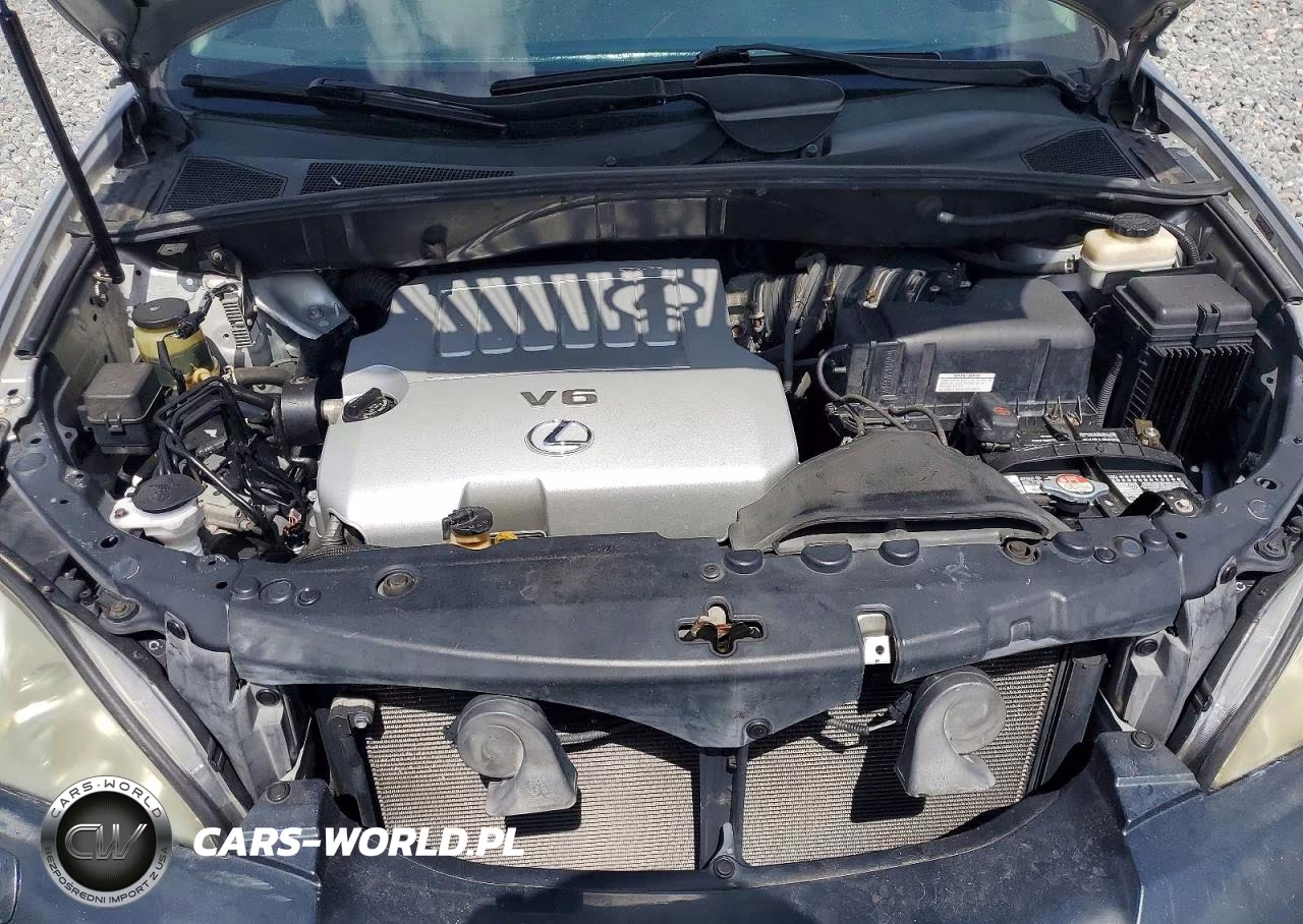 2009 Lexus Rx 350 VIN:2T2HK31U29C116394 - 11